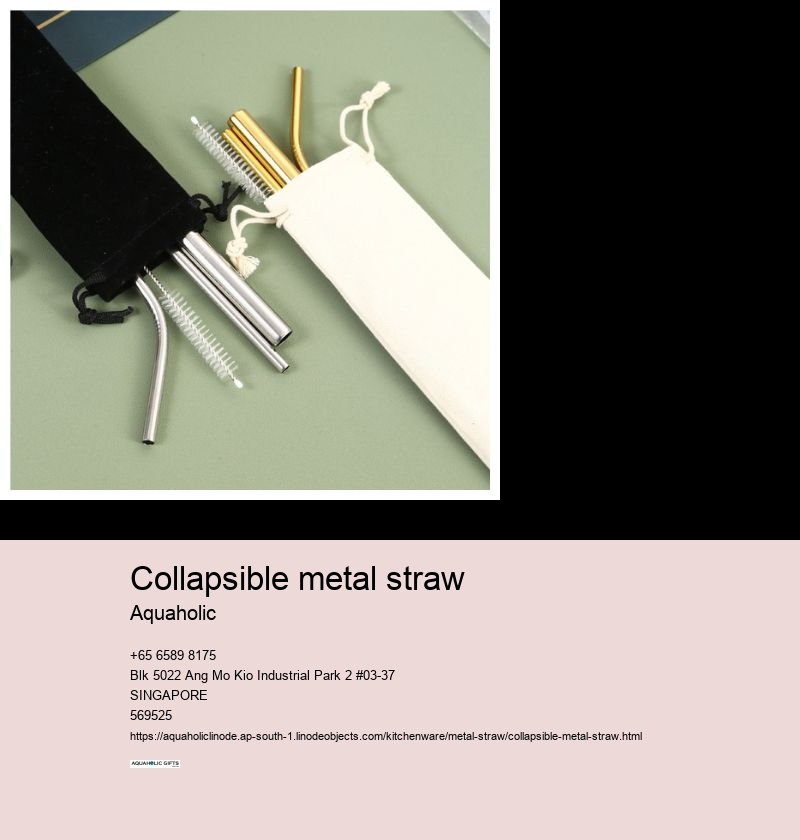 collapsible metal straw